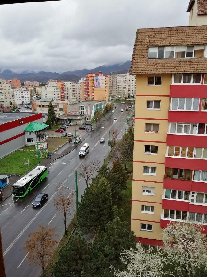 Carpatilor Residence Brasov Luaran gambar
